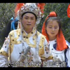 琴书《杨八姐三下幽州》5血染潼台关6下载