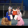 淮剧青春版《狸猫换太子》上本 江苏省淮剧团下载