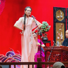 河南坠子《卖油郎独占花魁》头本下载