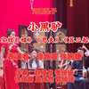 河南坠子《小黑驴》返《宝钗扑蝶》《思夫》《苏三起解》下载