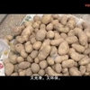 莲花落《新花子要饭》下载