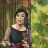 河南坠子《摘石榴》下载