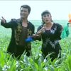 百年长恨下载