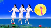 广场舞《年年寄相思》祝大家中秋节快乐下载