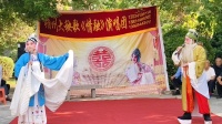朔州大秧歌《走山》上集下载