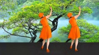 广场舞《醉红妆》背面完整版下载
