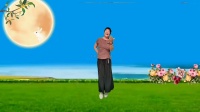 富平百合广场舞《中秋的月亮圆又亮》完整版下载