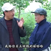 民间小调《傻子看家》