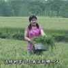 民间小调《二百五逮姑父》