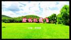 2024左脚舞广场舞 周晓丽 脸似红霞飞下载