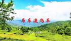 2024左脚舞广场舞 周晓丽 马车追汽车下载