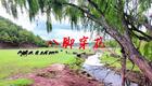 2024左脚舞广场舞 周晓丽 八脚穿花下载