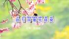 2024左脚舞广场舞 周晓丽 欲引凤凰先搭窝下载