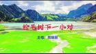 2024左脚舞广场舞 周晓丽 松毛树下一小对下载