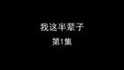 我这半辈子下载