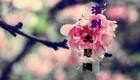 淮剧曲调唱段《莲花庵·见丈夫悔恨痛绝一旁站》 陈澄下载