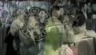 二人转小帽《捡棉花》关小飞、张涛.演出