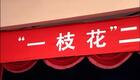 二人转经典选段28《刘姥姥还乡》李静下载