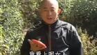 云南山歌剧《大嫂戏小叔》第一集下载