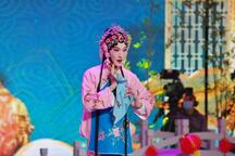 泗州戏《拾棉花》全场 贡健强