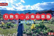 云南山歌《万物生·云南山歌版》新歌上线 