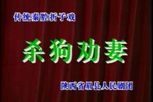 秦腔折子戏《杀狗劝妻》折子戏 田金爱 薛建林 康会玲