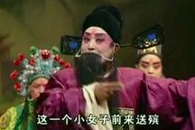 豫剧《下南京》行路、抢棺材和会督一折 刘新民