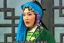 庐剧《小鱼网认母》全剧欣赏
