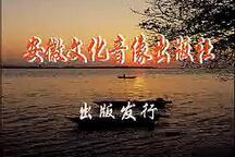 庐剧珍珠塔全剧 经典传统戏曲