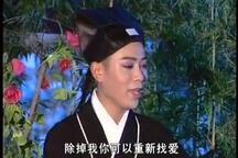 庐剧女驸马全剧6部经典合集
