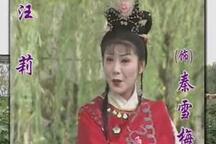 庐剧《秦雪梅》全本 魏小波汪莉等主演