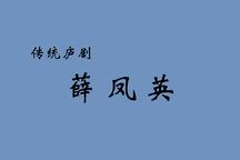 庐剧薛凤英汪晓云周小五夏小二经典全场
