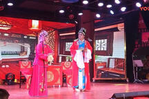 庐剧《休丁香》之《王妙香捣鬼》