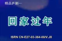 庐剧《回家过年》全本 朱德顺 孙晓云