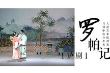 庐剧罗帕记 朱德顺孙晓云经典演绎