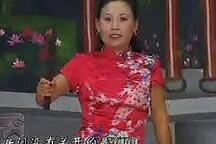 河南坠子大明奇冤胡银花全18部