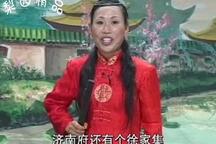 河南坠子《傻子回门》 胡银花