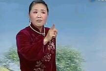 莫红梅河南坠子中红袍全本20部