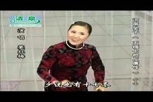 河南坠子五梅七枪反唐传 莫红梅演唱