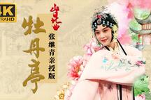 4K高清修复昆曲牡丹亭张继青亲授单雯版