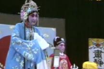 河北梆子《河北梆子经典唱段集锦》片段 张惠云