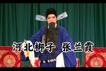河北梆子赵派传人张兰霞唱段赏析8部