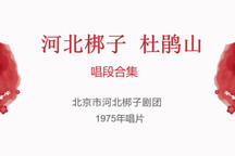 河北梆子杜鹃山唱段合集唱片