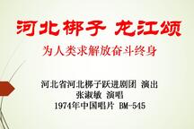 河北梆子龙江颂唱段合集老唱片