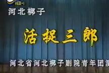 河北梆子《活捉》 王洪玲