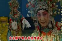 河北梆子表演艺术家-张惠云专辑7部