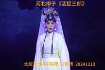 河北梆子《活捉三郎》 王思佳 胡长青
