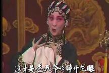 河北梆子大登殿金牌调银牌宣名家合集