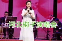 河北梆子《河北梆子演唱会》上半场