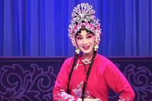 河北梆子《蝴蝶杯·洞房》 张警月 丁云飞